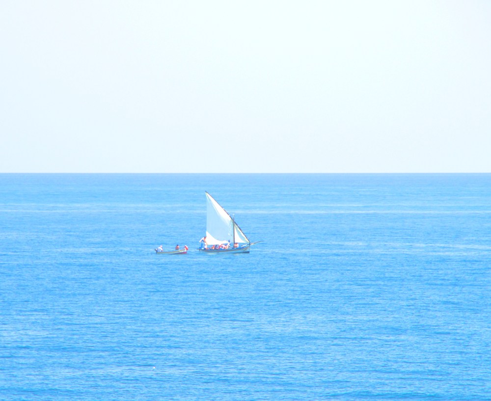 Video by LUCA June 2013 (13)