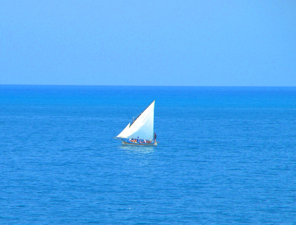 Video by LUCA June 2013 (17)