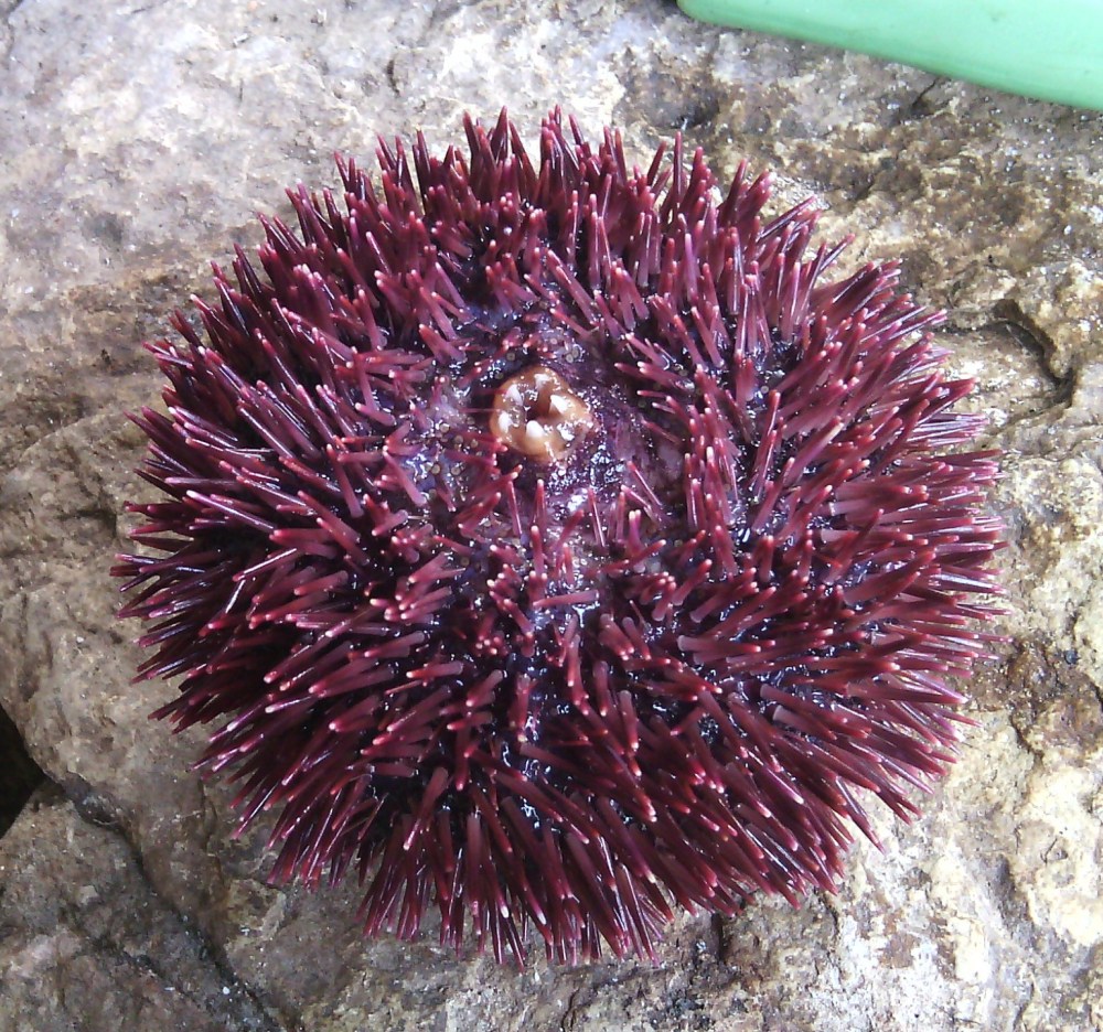 ???????????????????????????????