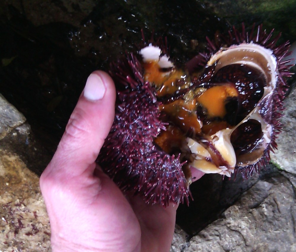 ???????????????????????????????