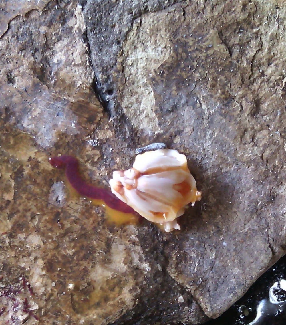 ???????????????????????????????