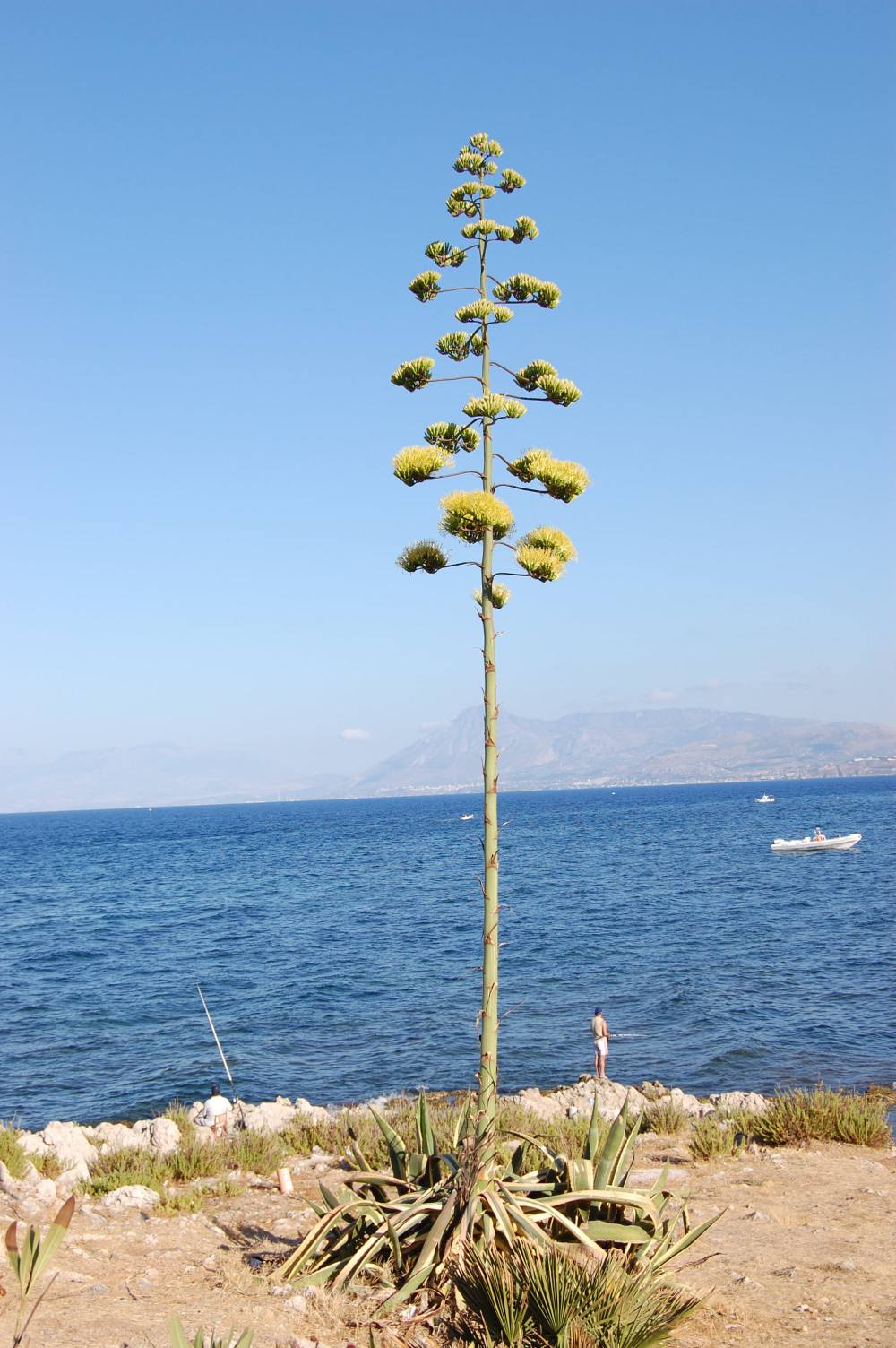 Susy holiday A 2008-07 025