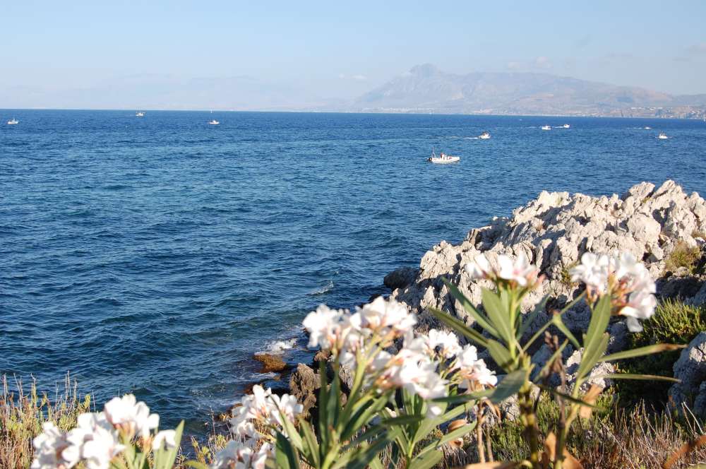 Susy holiday A 2008-07 026