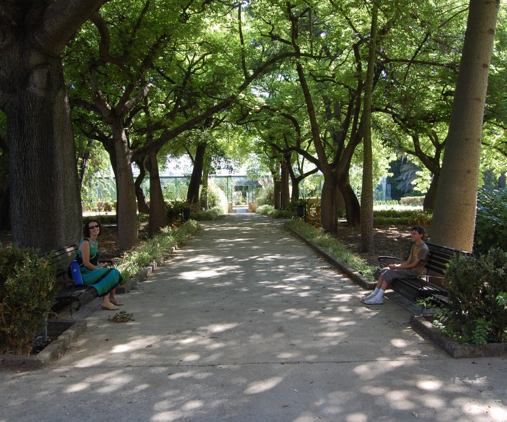 Botanical Garden Palermo - Dangerously Truthful Sicilian Housewife