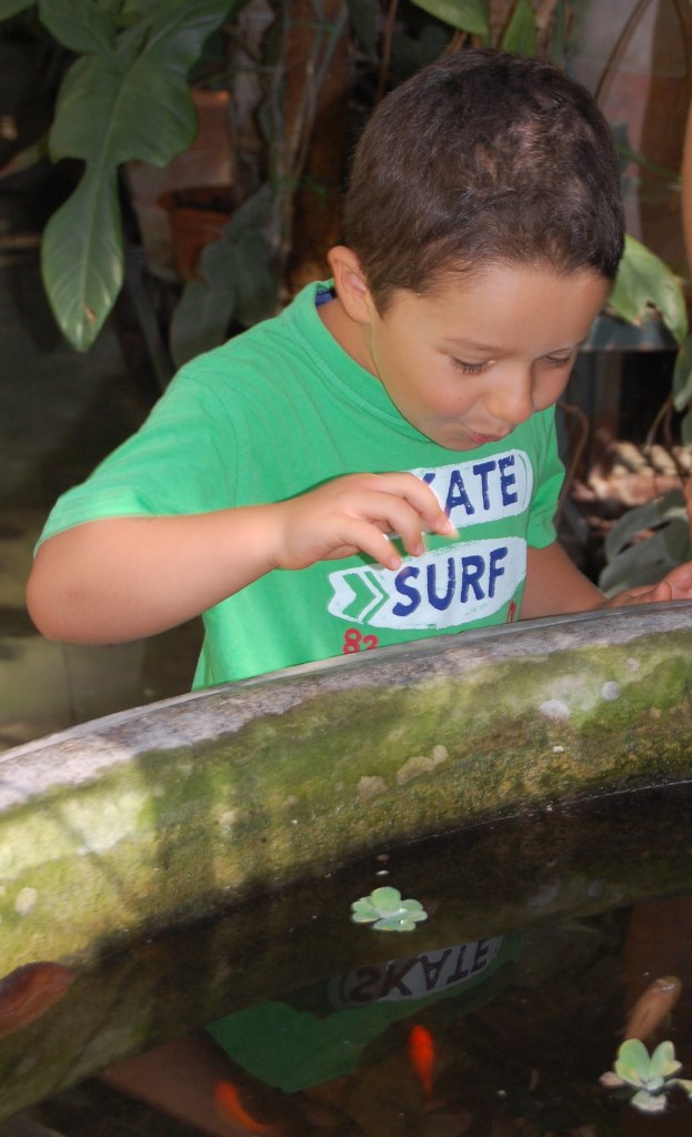 Botanical Garden Palermo - Dangerously Truthful Sicilian Housewife