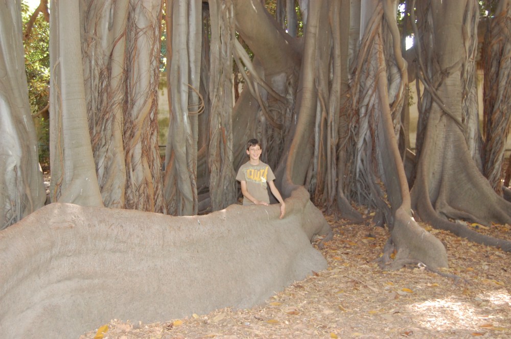 Palermo Botanical gardens