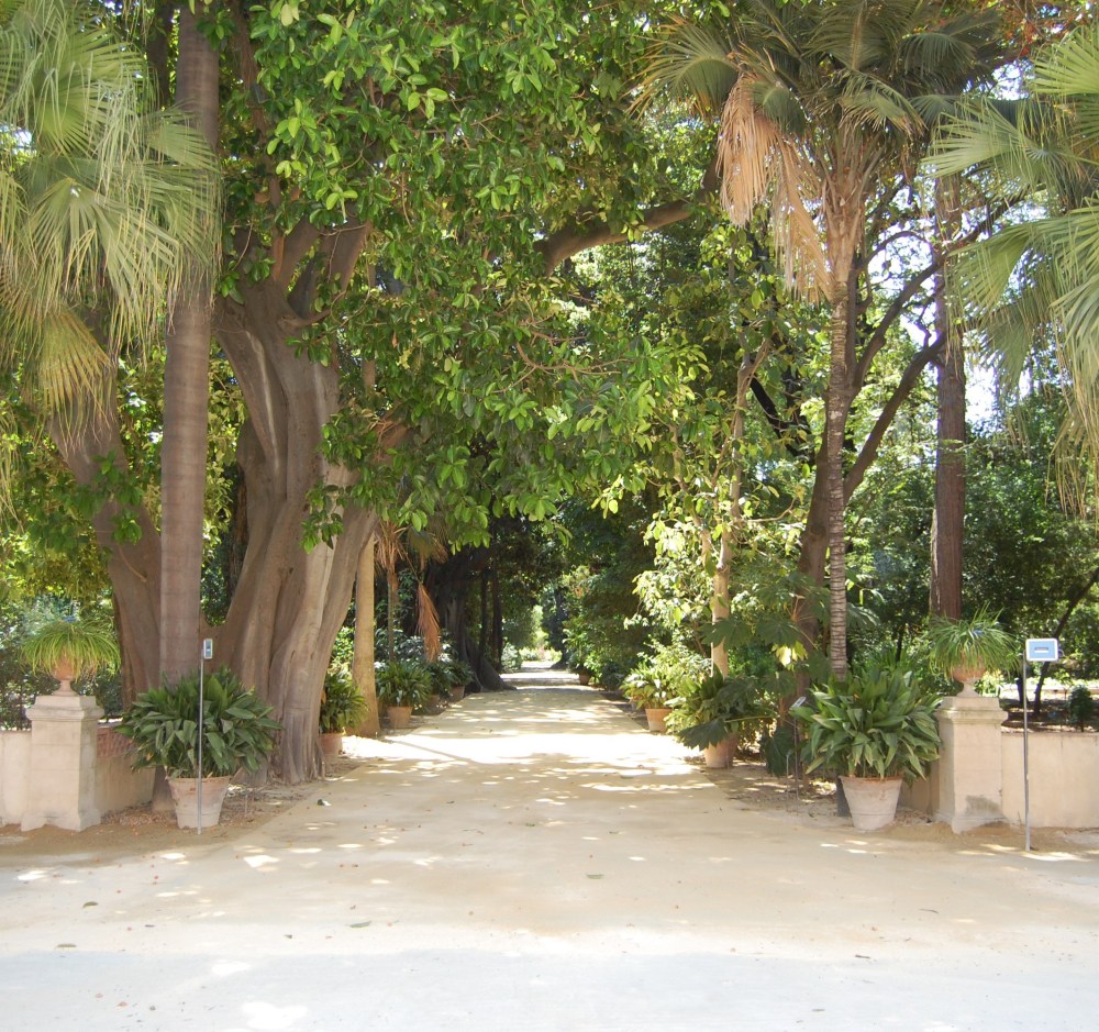 Botanical Garden Palermo - Dangerously Truthful Sicilian Housewife