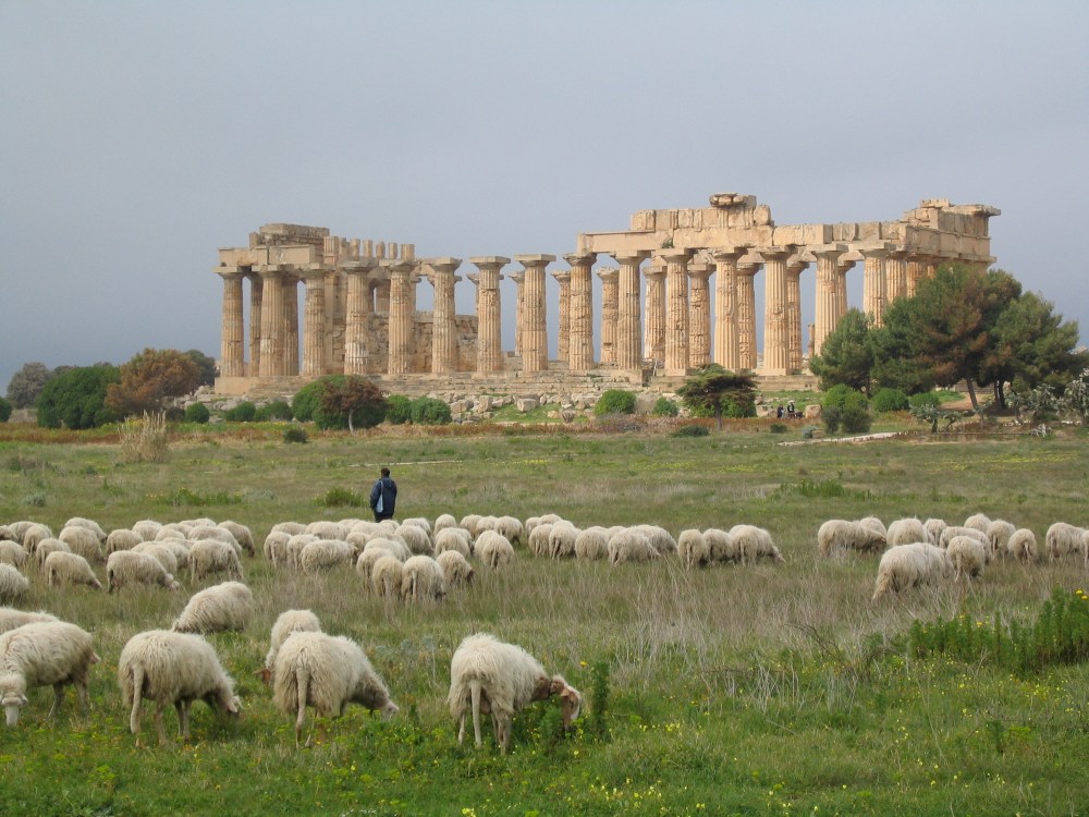 Selinunte-Temple_E_04