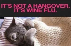 wine flu
