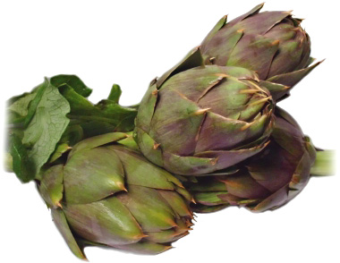 artichokes