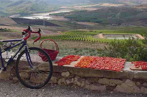 cycling_in_sicily